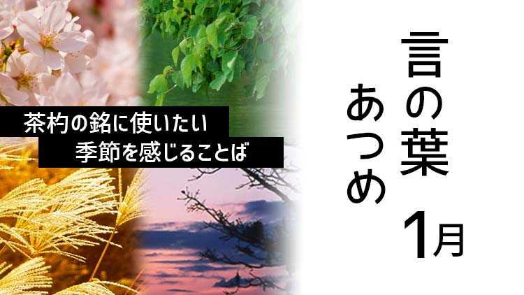 茶杓 銘「初霰」 昌庵作 1月の茶杓の銘に使いたい、